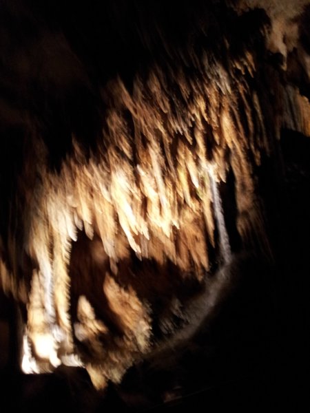 ../previews/163-20120717_143921.jpeg.medium.jpeg