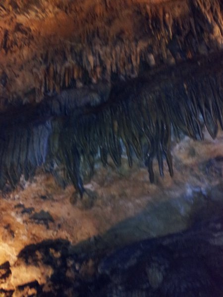 ../previews/168-20120717_144256.jpeg.medium.jpeg