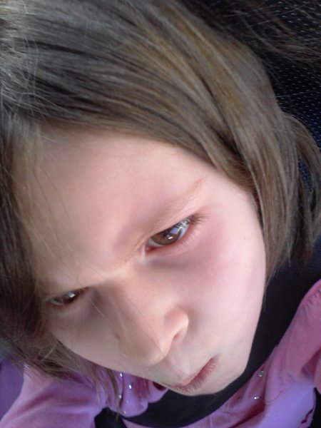 ../previews/426-20120405_191346.jpeg.medium.jpeg