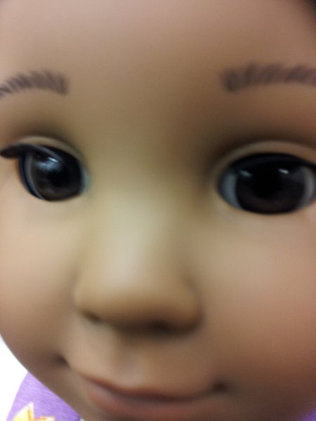 ../previews/485-20120422_140146.jpeg.medium.jpeg