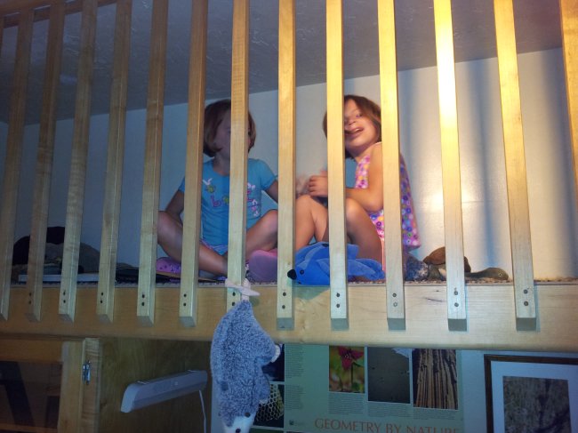 ../previews/558-20120804_102733.jpeg.medium.jpeg