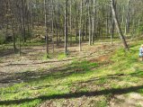 thumbnails/386-20120407_161244.jpeg.small.jpeg