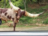 thumbnails/585-20120814_131744.jpeg.small.jpeg
