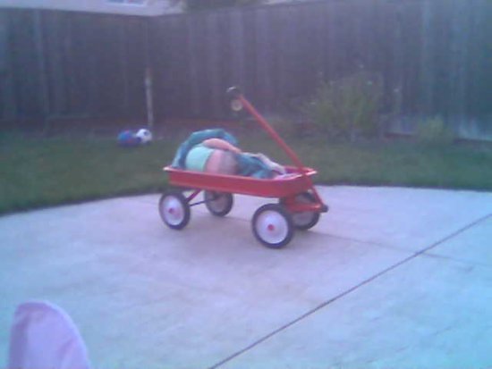 022-Robphone014.jpg.medium.jpeg