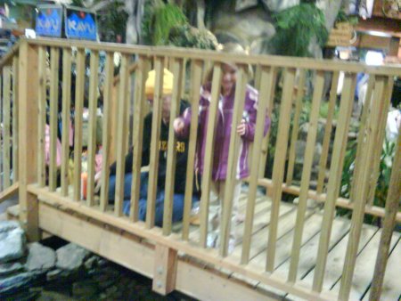 042-DSC00316.JPG.medium.jpeg