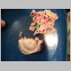 DSC00719.JPG